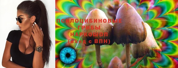 PSILOCYBIN Кукмор