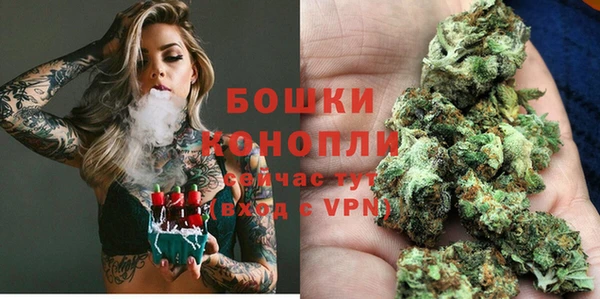 PSILOCYBIN Кукмор