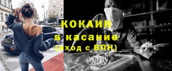 PSILOCYBIN Кукмор