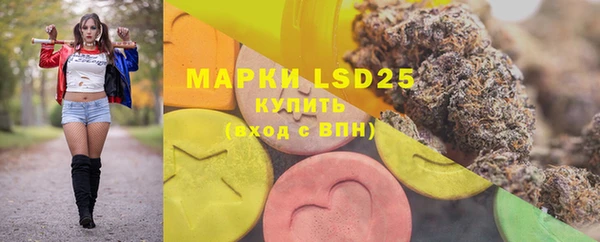 PSILOCYBIN Кукмор