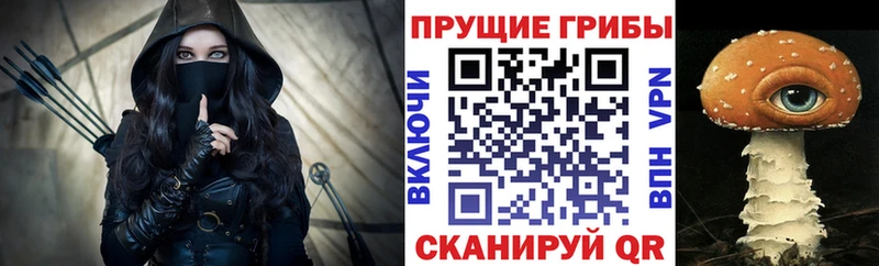 Купить закладки  Верхняя Пышма  Псилоцибиновые грибы Psilocybine cubensis 